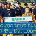 Cá cược trực tuyến CPBL Đài Loan