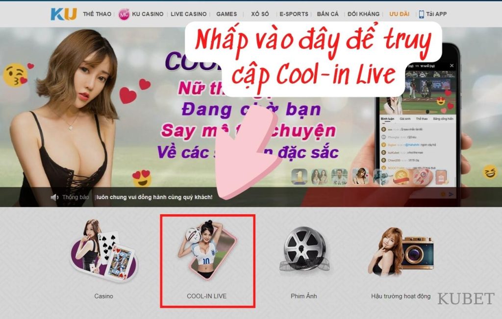 Cool-in Live miễn phí