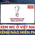 App xem trực tiếp World Cup