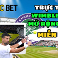 trực tiếp Wimbledon mở rộng